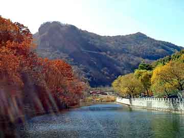 新澳天天开奖资料大全旅游团，宅女的随身庄园